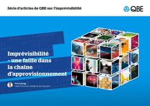 Imprévisibilité  – une faille dans la chaîne d’approvisionnement (PDF)